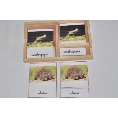 Cartes de nomenclatures animaux d'Océanie