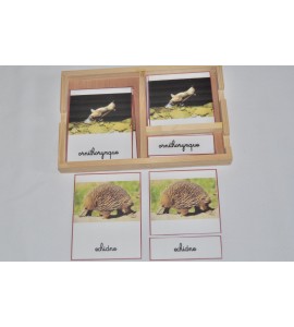 Cartes de nomenclatures animaux d'Océanie