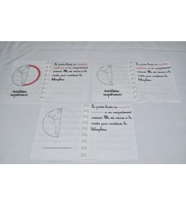 lot de 3 livrets structure de la terre