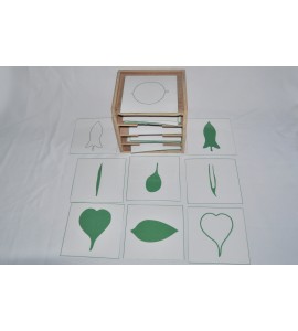 meuble pour les cartes de botanique