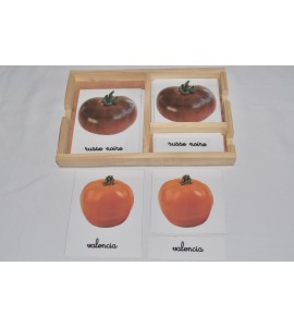 Cartes de nomenclatures les tomates en 3 parties