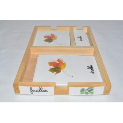 Cartes de nomenclatures les feuilles