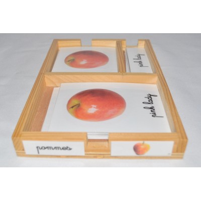 Cartes de nomenclatures les pommes