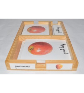 Cartes de nomenclatures les tomates en 3 parties