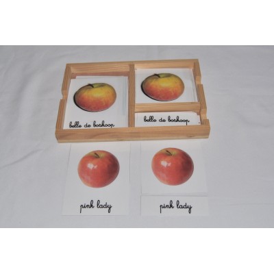 Cartes de nomenclatures les pommes