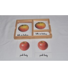 Cartes de nomenclatures les pommes