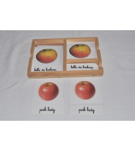 Cartes de nomenclatures les tomates en 3 parties