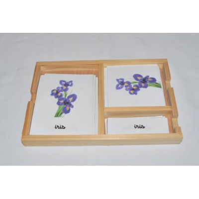 Cartes de nomenclatures les fleurs