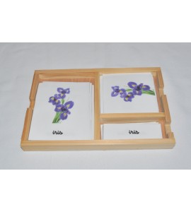 Cartes de nomenclatures les fleurs