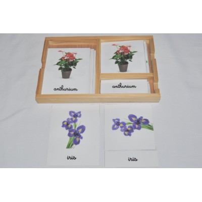 Cartes de nomenclatures les fleurs