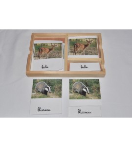 Cartes de nomenclatures animaux de la savane