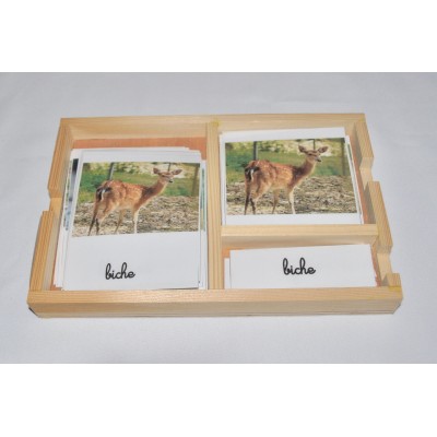 Cartes de nomenclatures animaux de la savane