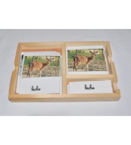 Cartes de nomenclatures animaux de la savane