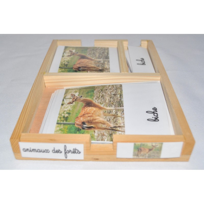 Cartes de nomenclature les animaux de la foret – Lud'Y Key