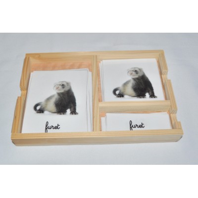 Cartes de nomenclatures animaux domestique