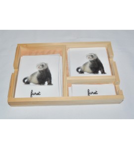 Cartes de nomenclatures animaux domestique