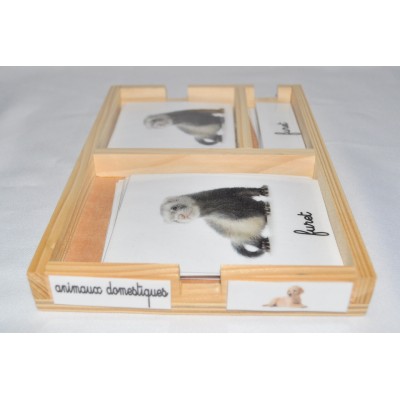 Cartes de nomenclatures animaux domestique