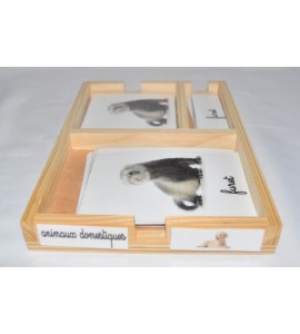 Cartes de nomenclatures animaux domestique