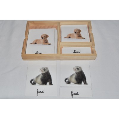 Cartes de nomenclatures animaux domestique