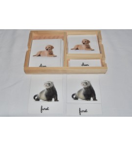 Cartes de nomenclatures animaux domestique