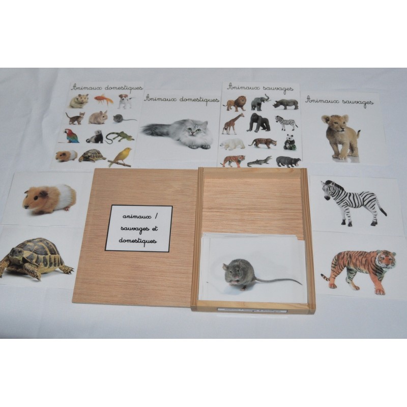 coffret animaux sauvages et domestiques