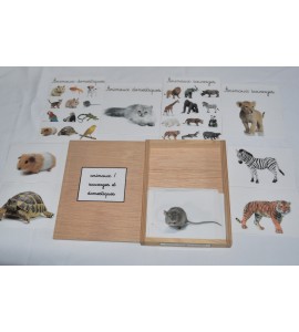 coffret animaux sauvages et domestiques