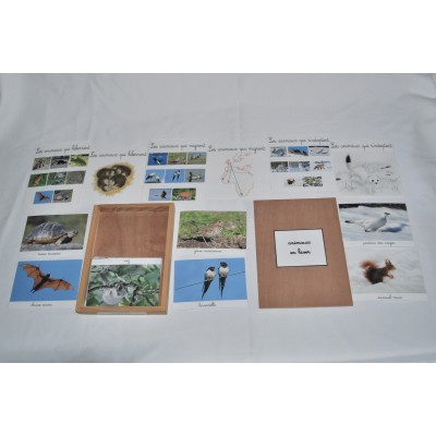 coffret animaux en hiver