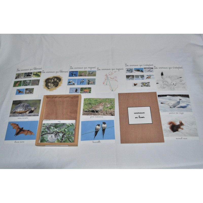 coffret animaux en hiver