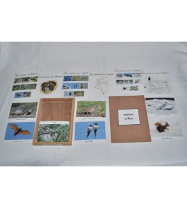 coffret animaux en hiver