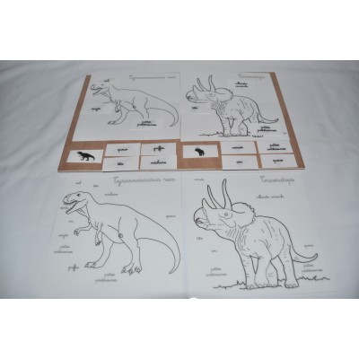 Coffret dinosaures