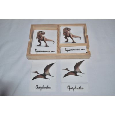 cartes de nomenclatures dinosaures