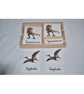 cartes de nomenclatures dinosaures