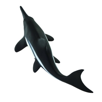 Ichthyosaurus