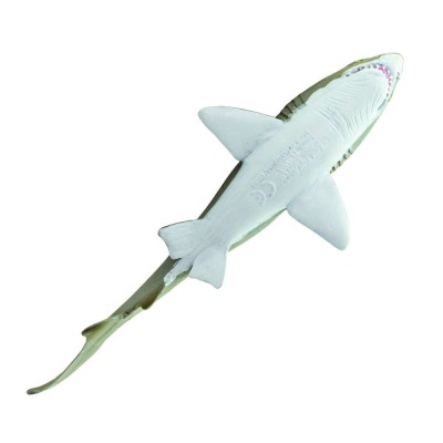 Requin taureau