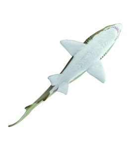 Requin taureau