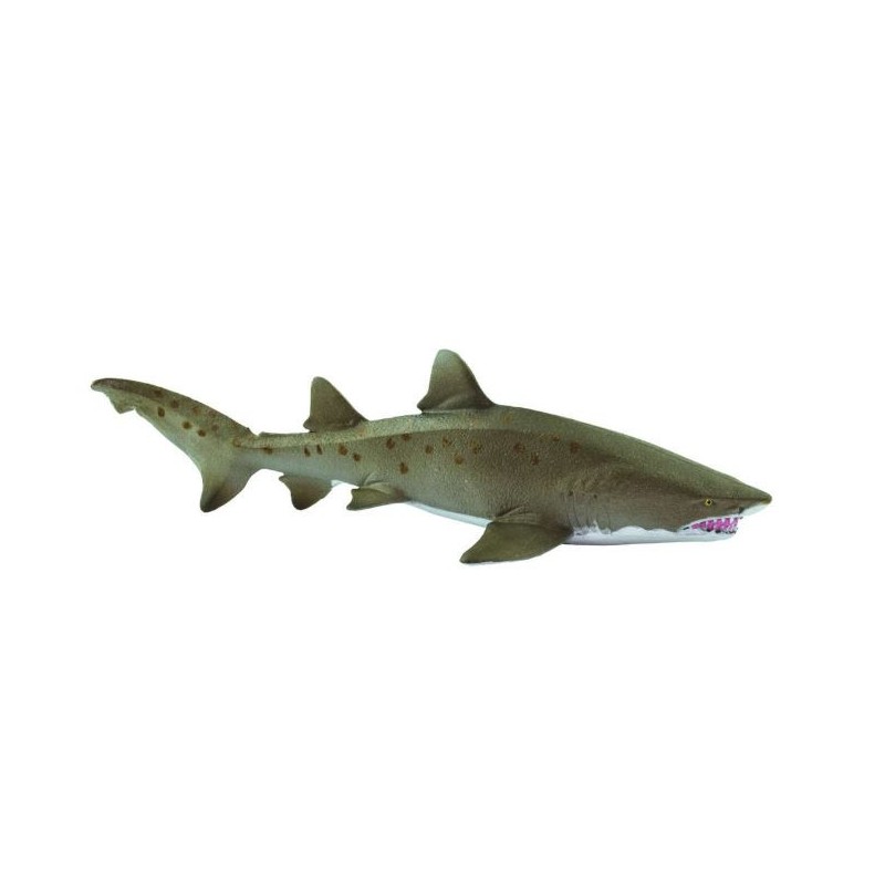 Requin taureau