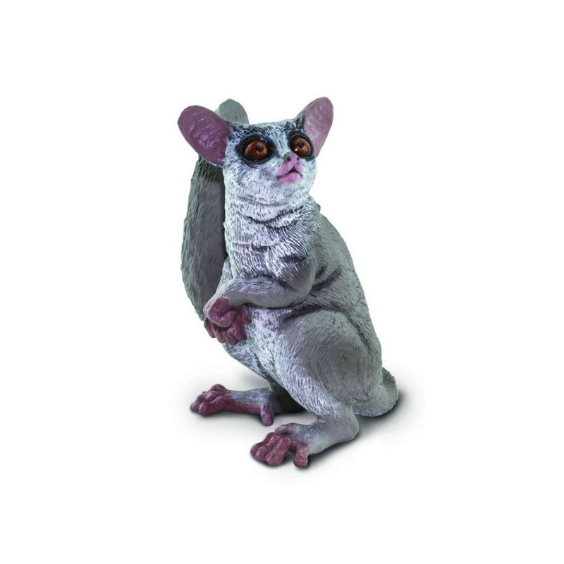 Galago