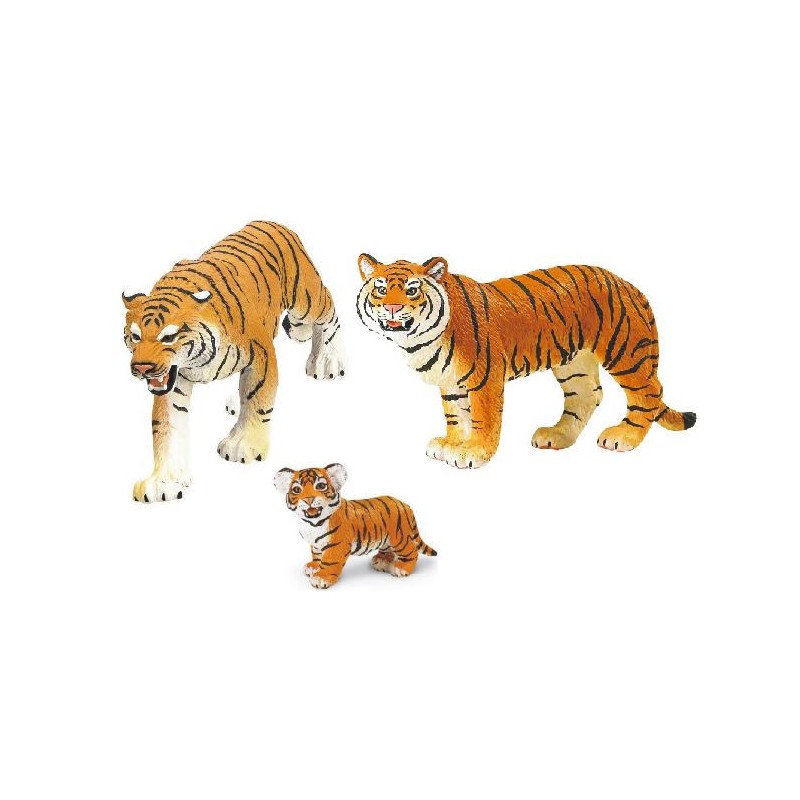Famille des tigres