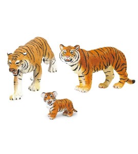 Famille des tigres