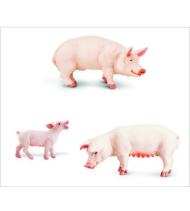 Plateau de la familles des cochons