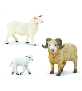 Plateau de la familles des moutons