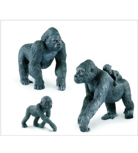 Plateau de la familles des gorilles