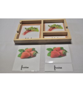 Nomenclatures fruits de printemps