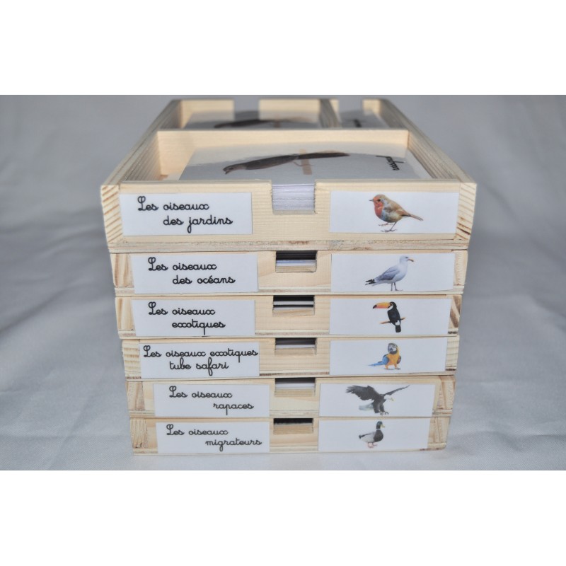 Pack nomenclatures les oiseaux