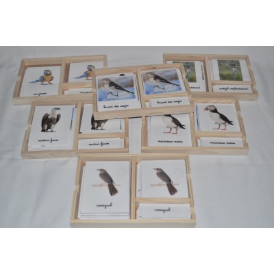 Pack nomenclatures les oiseaux