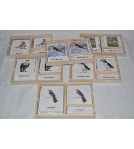 Pack nomenclatures les oiseaux