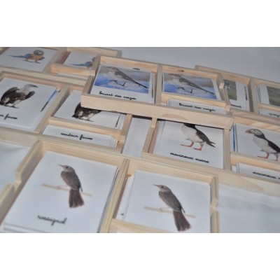 Pack nomenclatures les oiseaux