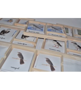 Pack nomenclatures les oiseaux