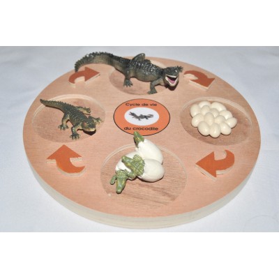 Cycle de vie de la tortue - plateau + figurines