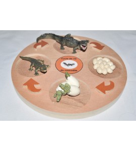 Cycle de vie de la tortue - plateau + figurines